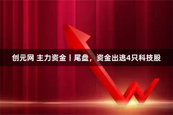 创元网 主力资金丨尾盘,资金出逃4只科技股